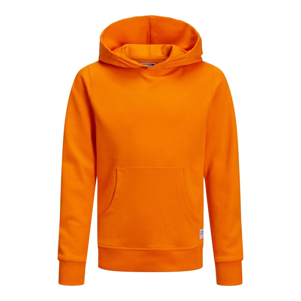 JJEBASIC SWEAT HOOD NOOS JNR 12184813 Exuberance