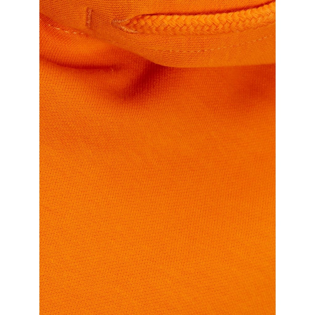 JJEBASIC SWEAT HOOD NOOS JNR 12184813 Exuberance