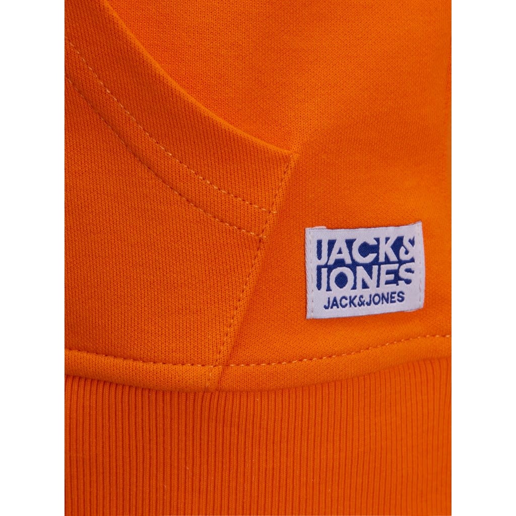 JJEBASIC SWEAT HOOD NOOS JNR 12184813 Exuberance