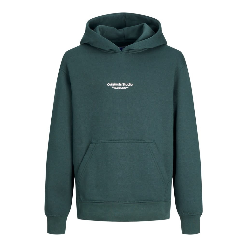 JORVESTERBRO SWEAT HOOD NOOS JNR 12242469 Magical Forest