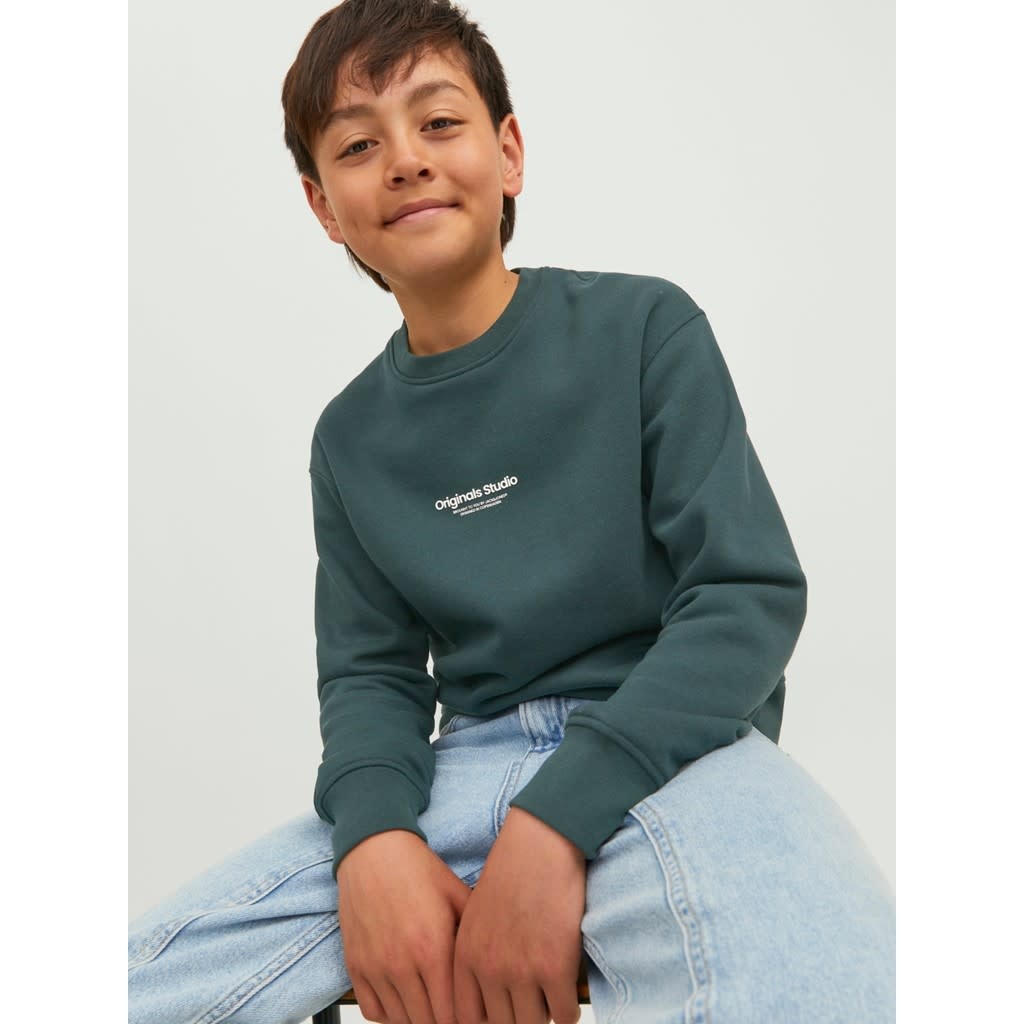 JORVESTERBRO SWEAT CREW NECK JNR 12242471 Magical Forest