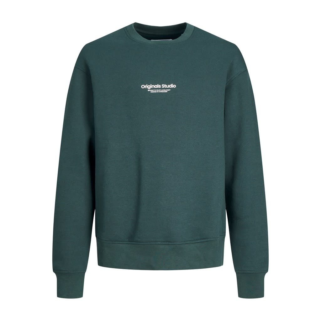 JORVESTERBRO SWEAT CREW NECK JNR 12242471 Magical Forest