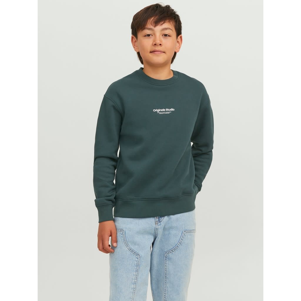 JORVESTERBRO SWEAT CREW NECK JNR 12242471 Magical Forest