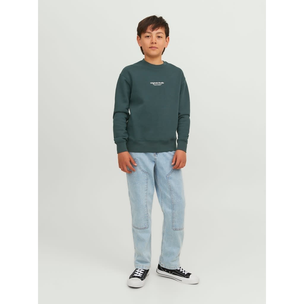 JORVESTERBRO SWEAT CREW NECK JNR 12242471 Magical Forest
