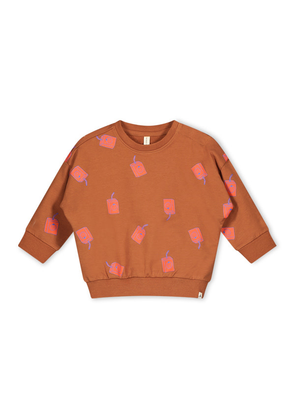 Yuna French sweater D307-0334 Juice aop