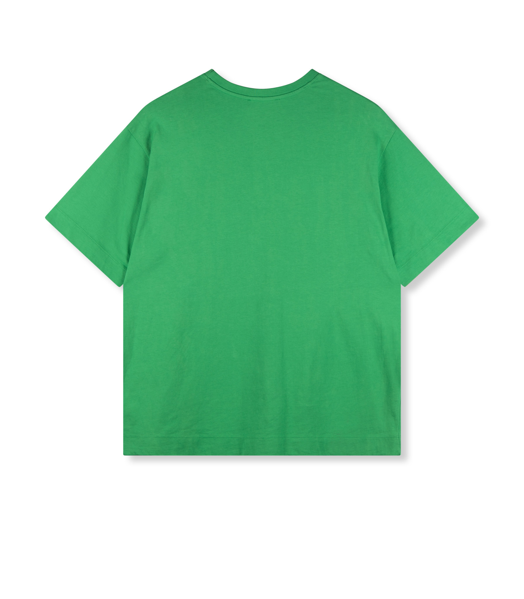 Smiley t-shirt BRUNA R2307711119 green
