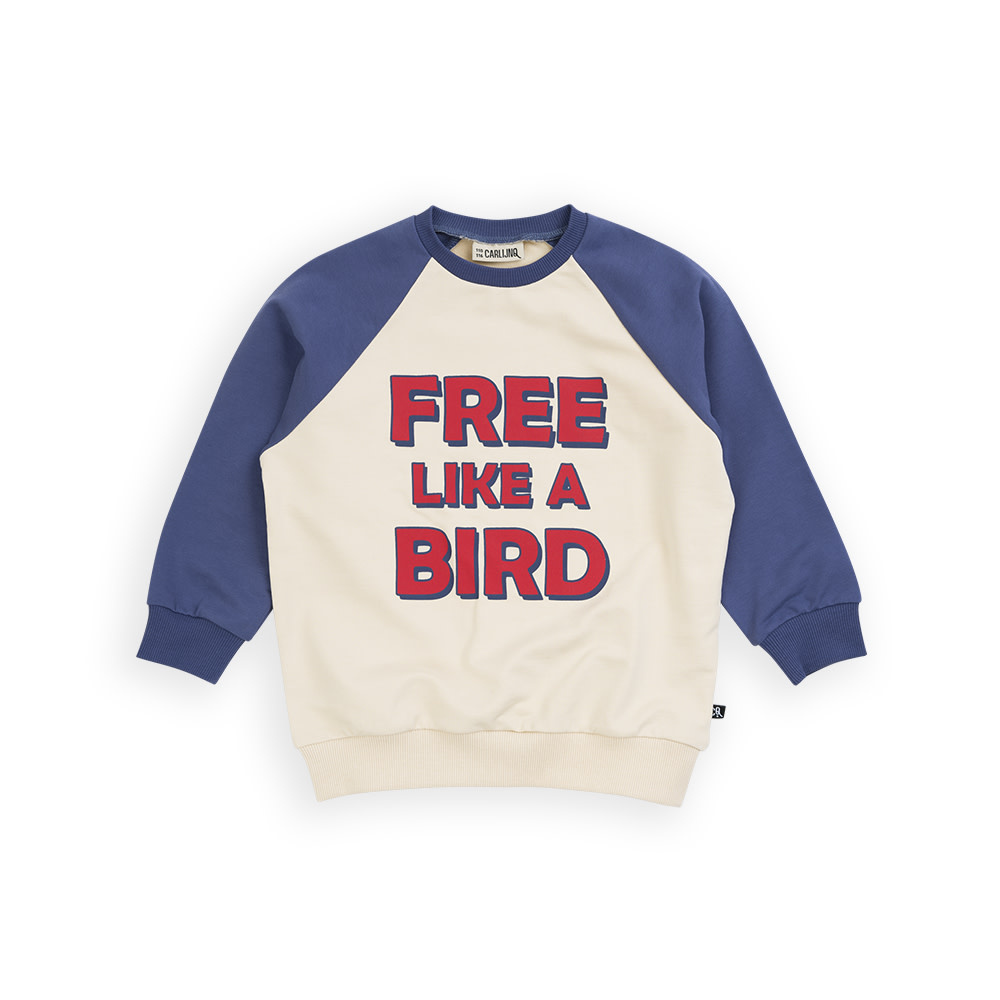 Free like a bird - raglan sweater with print (blue) BRD068