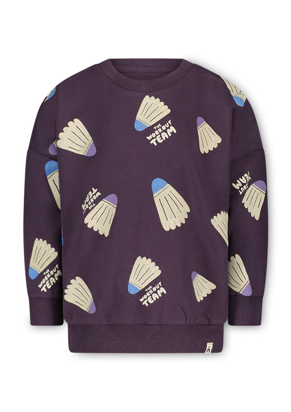 Mika sweater D308-0313 The Workout Team aop