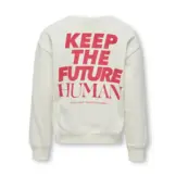 KOGNELLY L/S O-NECK PRINT BOX SWT 15334189 Birch