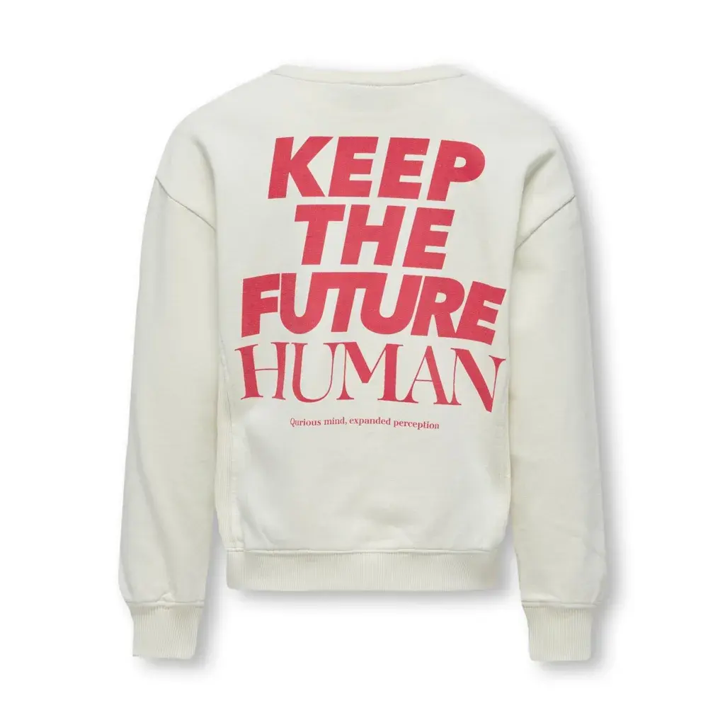 KOGNELLY L/S O-NECK PRINT BOX SWT 15334189 Birch