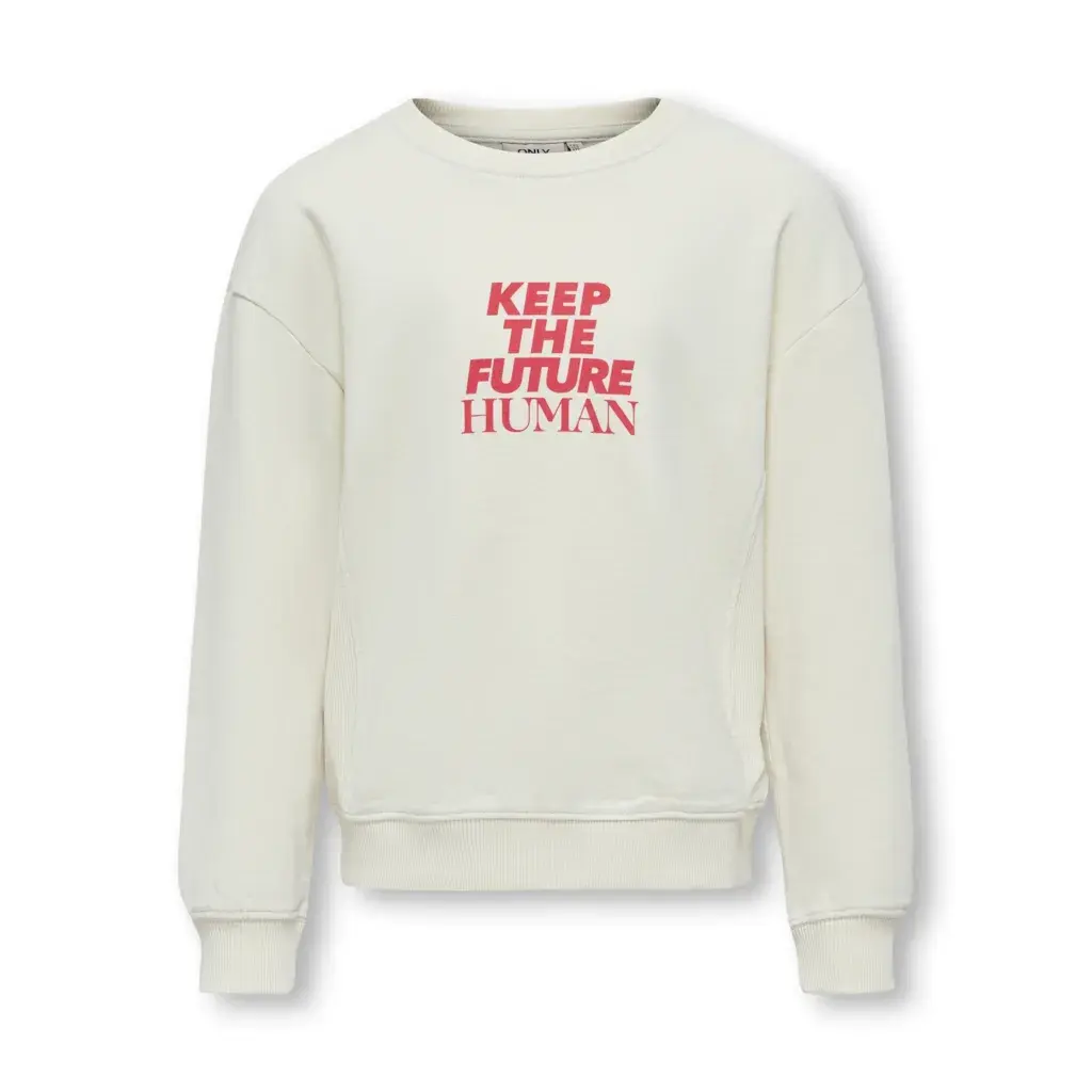 KOGNELLY L/S O-NECK PRINT BOX SWT 15334189 Birch