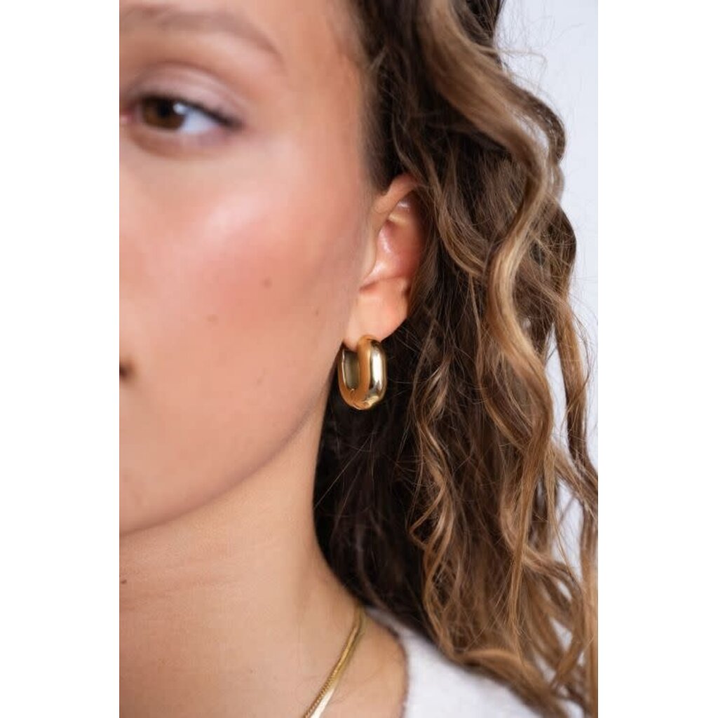 Statement oorringen ovaal MJ12129 Goud