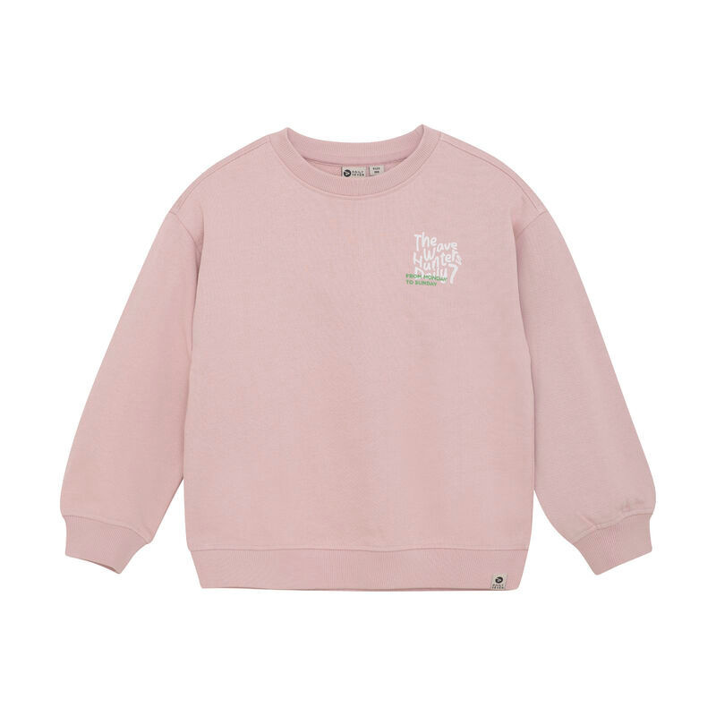Sweater Oversized Backprint 920066 Pale Mauve