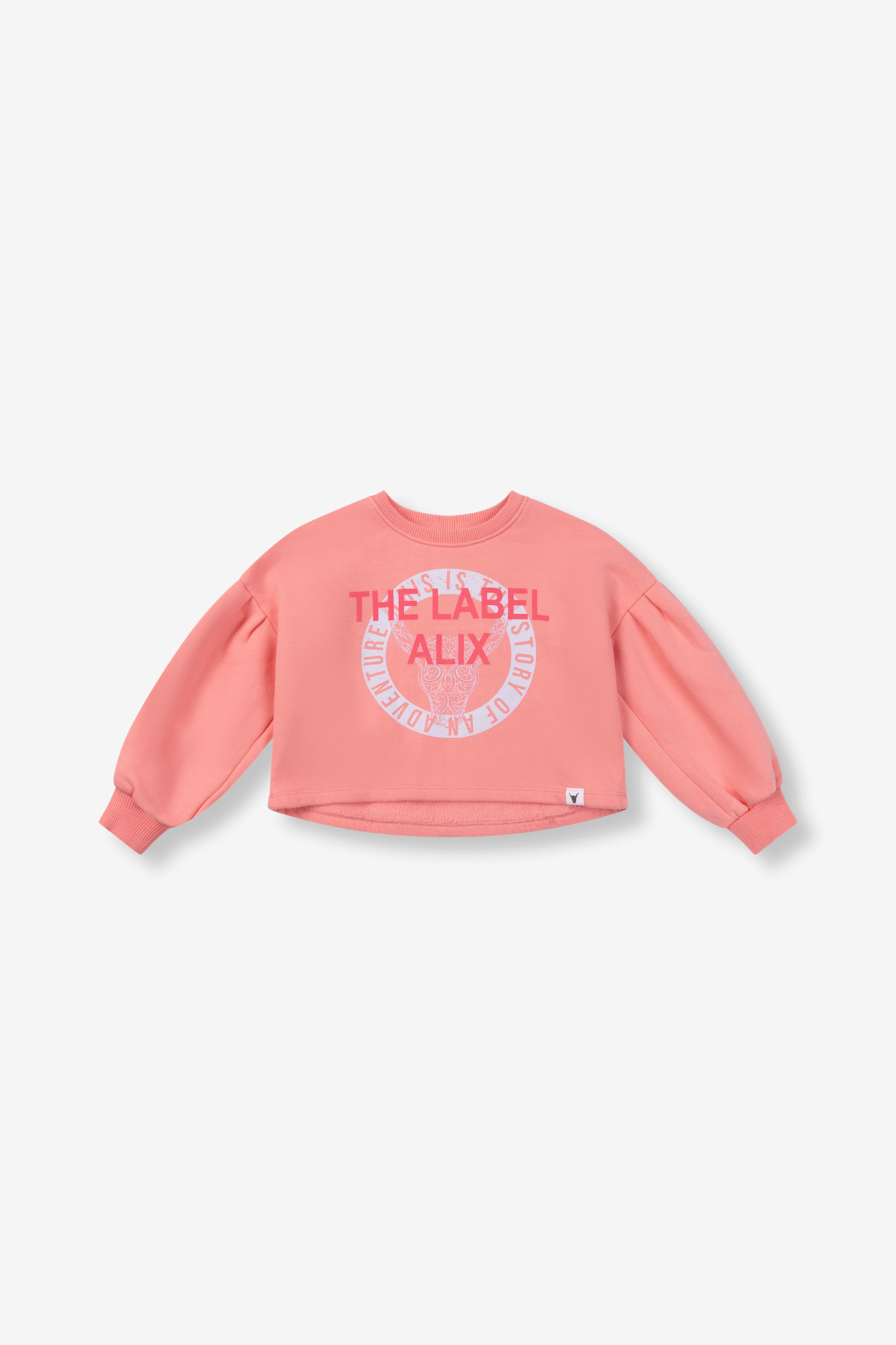 Raw Edge Sweater 62503837379 Bright Peach