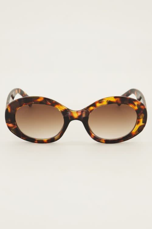 Sunglasses franq MJ12267 Brown