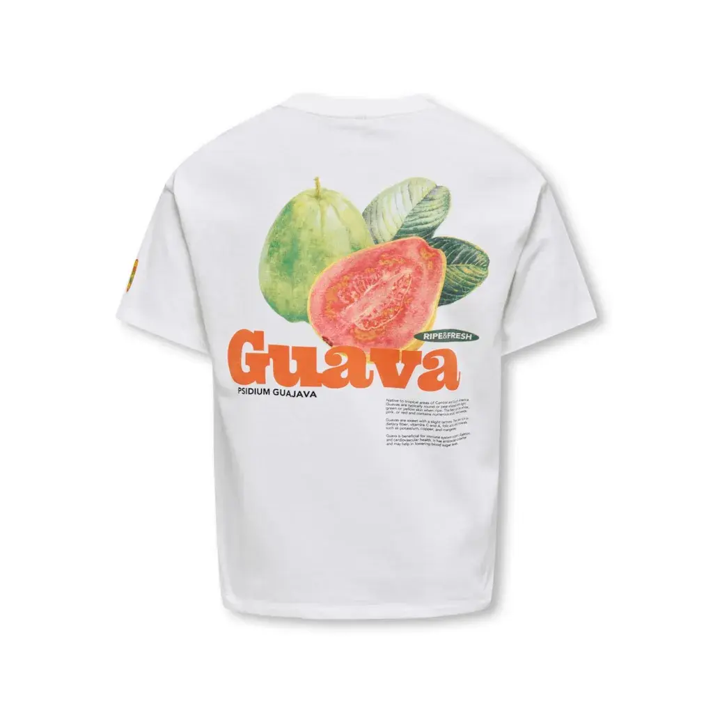 KOGPHOEBE S/S LOOSE FRESH TOP BOX JRS 15351588 Cloud Dancer Guava