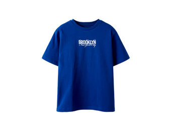 NKMKURT SS NREG TOP 13253351 Surf the Web