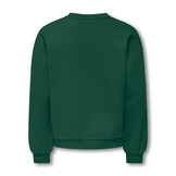 KOGVICTORY LIFE L/S O-NECK SWT 15356797 Pineneedle London/Cloud Dancer