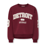 KOGVICTORY LIFE L/S O-NECK SWT 15356797 Cabernet Detroit/Cloud Dancer