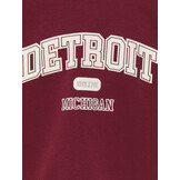 KOGVICTORY LIFE L/S O-NECK SWT 15356797 Cabernet Detroit/Cloud Dancer