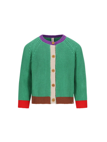 The New Chapter Miles knitted cardigan D507-0324 Medium Green