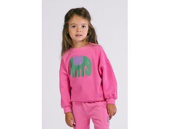 Bo sweater D507-0350 Pink Carnation