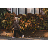 Fake down outerwear jacket 2531-7211-925 panther