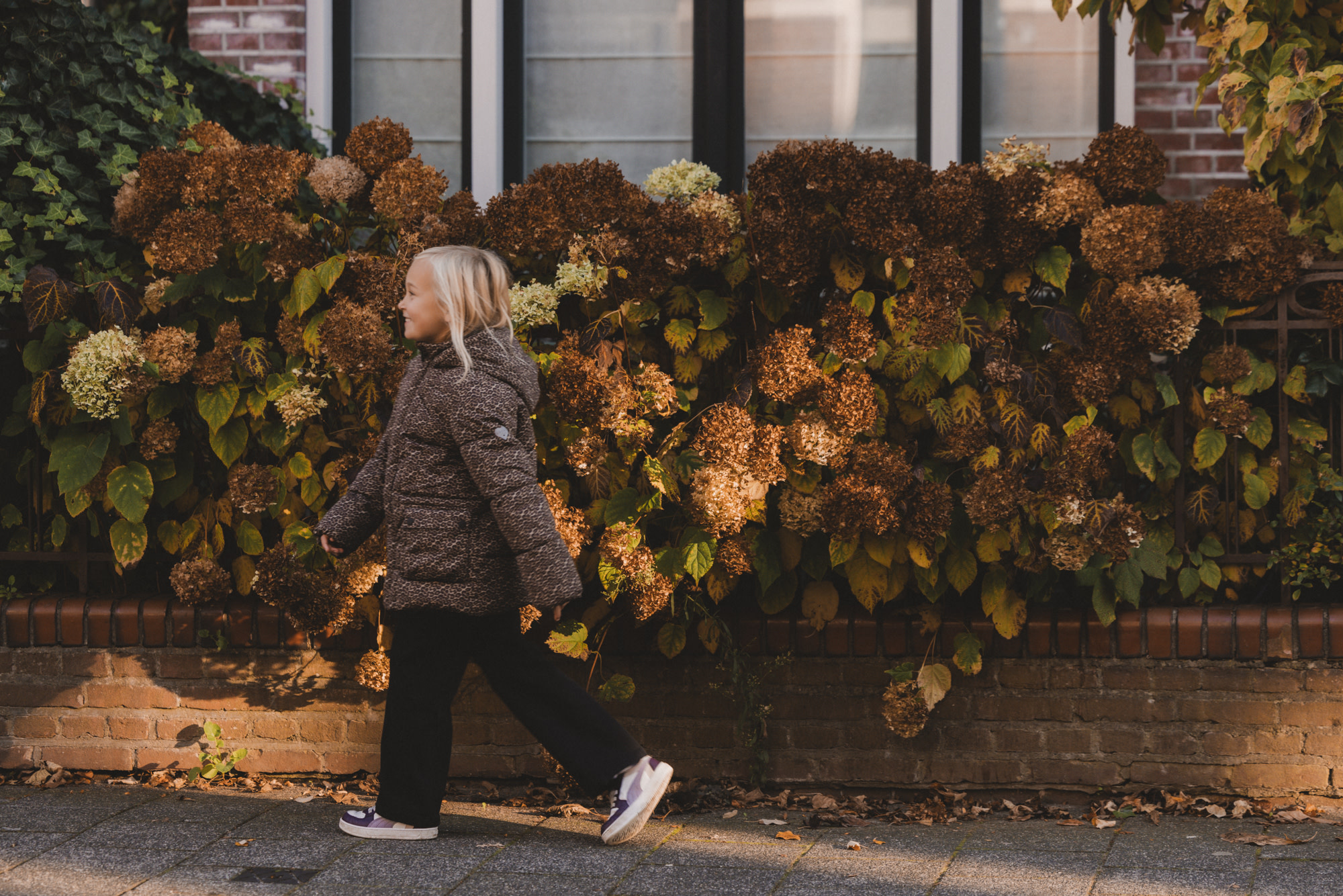 Fake down outerwear jacket 2531-7211-925 panther