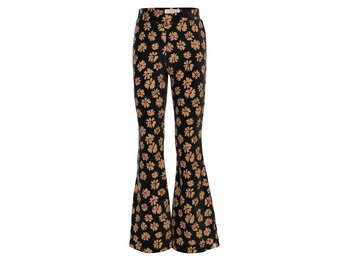 velvet flaire pants 2531-7609-980 soft winterflower