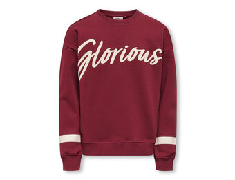 KOGHELLA LIFE LS O-NECK LOOSE PRINT SWT 15357835 Cabernet Glorious