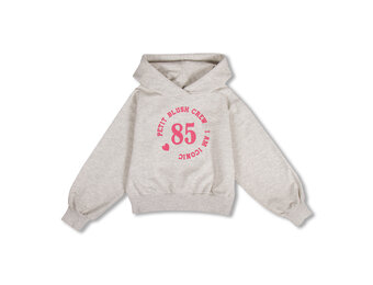 Hooded Sweater AW25-107 Grey Melange