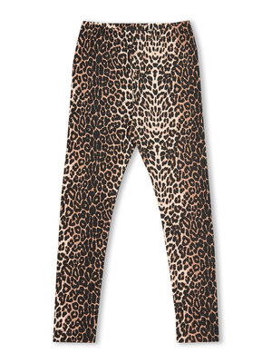 Lola Legging AW25-605 Leopard