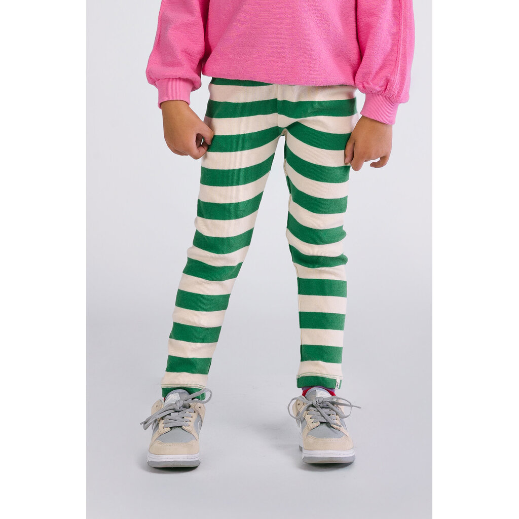 The New Chapter Zane legging stripe D507-0625 Green stripes