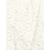 KOGJULIA S/L LACE TOP WVN 15345944 Cloud Dancer