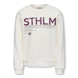 KOGZENJA BOXY L/S PRINTED SWT 15358097 Egret Sthlm