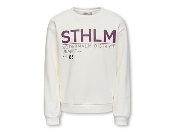 KOGZENJA BOXY L/S PRINTED SWT 15358097 Egret Sthlm