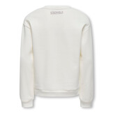 KOGZENJA BOXY L/S PRINTED SWT 15358097 Egret Sthlm