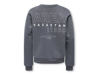 KOGZENJA BOXY L/S PRINTED SWT 15358097 Blackened Pearl Vasastan