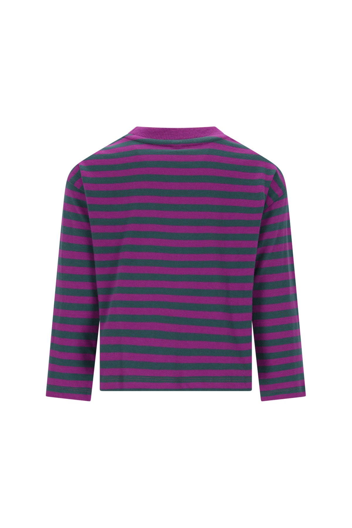 Lou t-shirt stripes D509-0432 Jasper Stripes