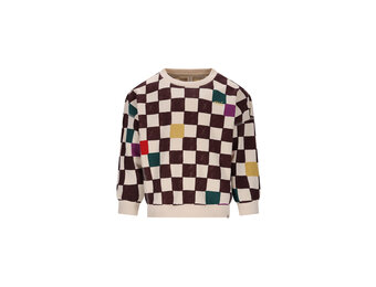 Bobbie sweater D509-0332 Checker