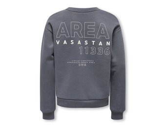 KOGZENJA BOXY L/S PRINTED SWT 15358097 Blackened Pearl Vasastan