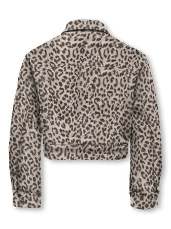 KOGANLIE-ANIMAL L/S JACKET VD PNT 15365395 Silver Lining Washed Leo