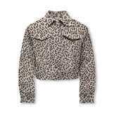 KOGANLIE-ANIMAL L/S JACKET VD PNT 15365395 Silver Lining Washed Leo