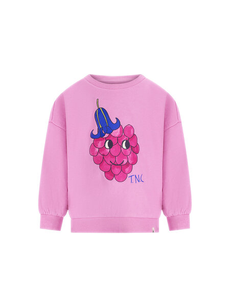 The New Chapter sweater Billie D601-0331-216 Mauve Mist