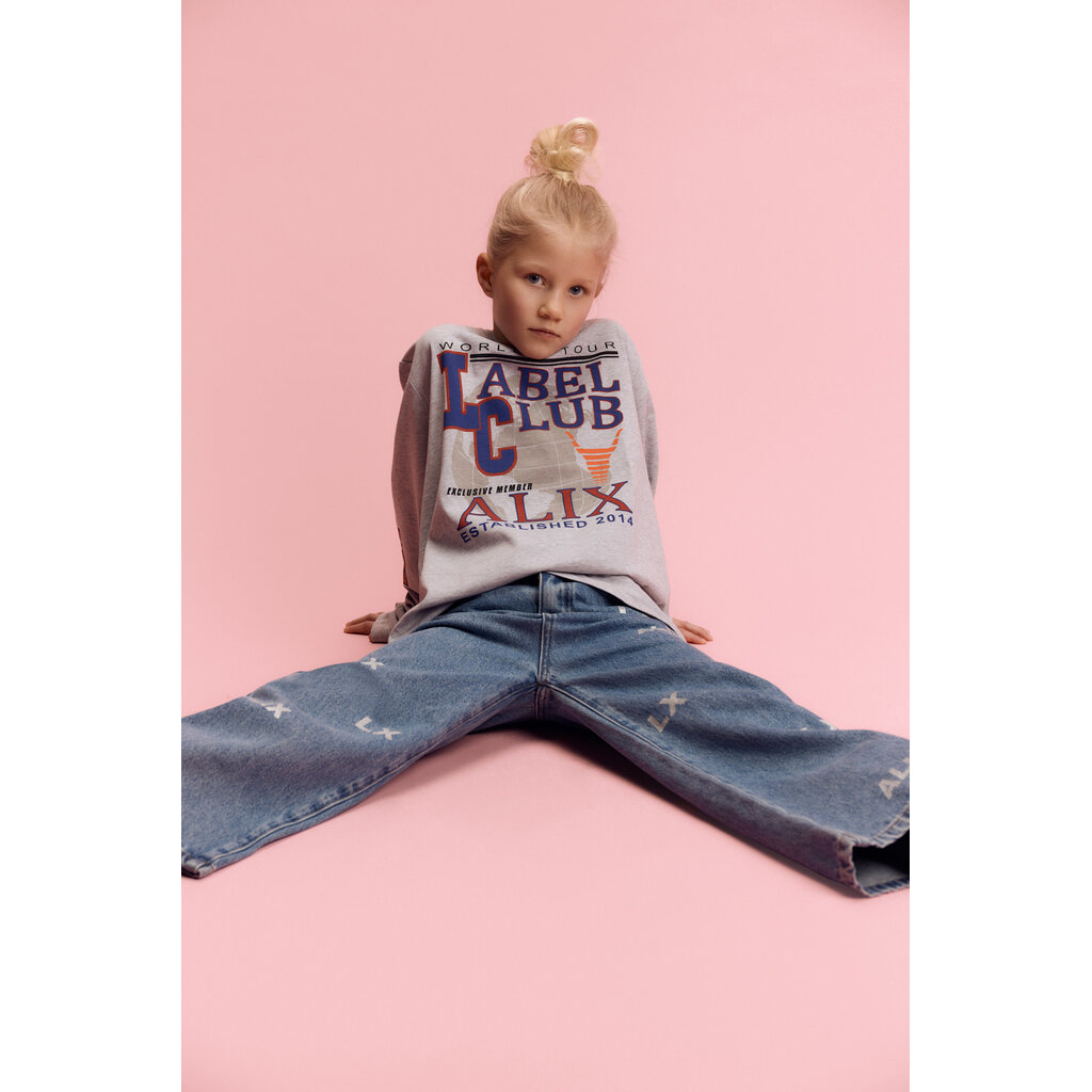 ALIX mini fancy artwork long sleeve 62603879492 light grey melange