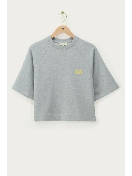 Sweater met korte mouwen Rue des rosiers MJ15649  Lichtgrijs