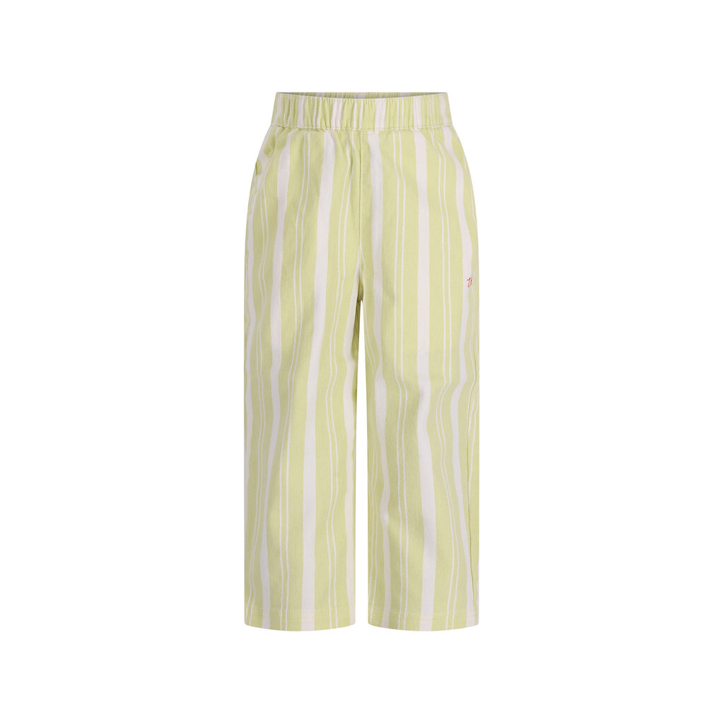 The New Chapter pants Atlas D602-0645-968 Green Stripes