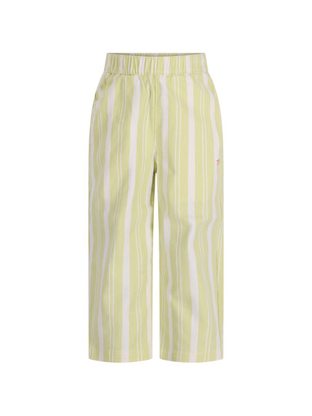 The New Chapter pants Atlas D602-0645-968 Green Stripes