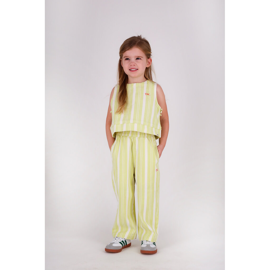 The New Chapter pants Atlas D602-0645-968 Green Stripes