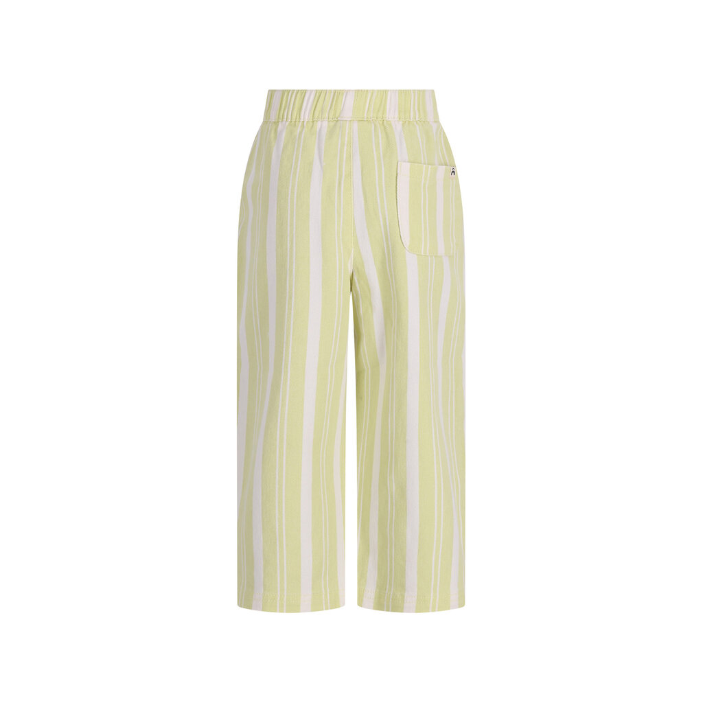 The New Chapter pants Atlas D602-0645-968 Green Stripes